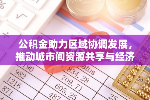 壶关公积金助力区域协调发展，推动城市间资源共享与经济均衡发展