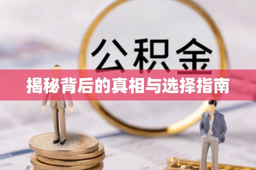 壶关揭秘背后的真相与选择指南