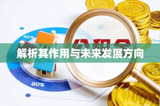 壶关解析其作用与未来发展方向